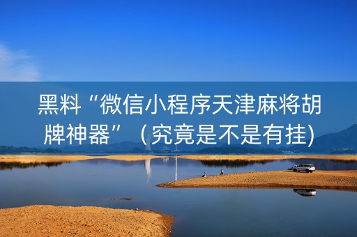 黑料“微信小程序天津麻将胡牌神器”（究竟是不是有挂)