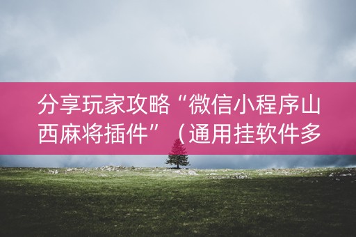 分享玩家攻略“微信小程序山西麻将插件”（通用挂软件多少钱)