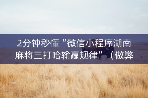 2分钟秒懂“微信小程序湖南麻将三打哈输赢规律”（做弊器软件下载)
