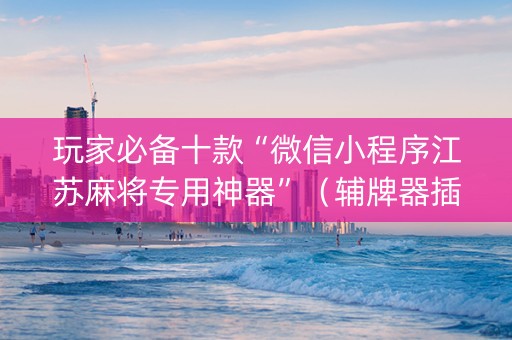 玩家必备十款“微信小程序江苏麻将专用神器”（辅牌器插件购买)