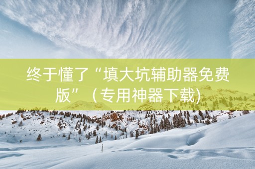 终于懂了“填大坑辅助器免费版”（专用神器下载)