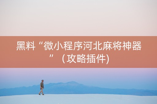 黑料“微小程序河北麻将神器”（攻略插件)
