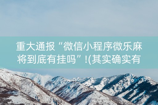 重大通报“微信小程序微乐麻将到底有挂吗”!(其实确实有挂)-知乎