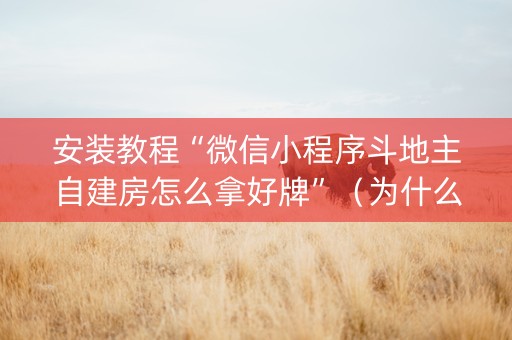 安装教程“微信小程序斗地主自建房怎么拿好牌”（为什么有人一直赢)