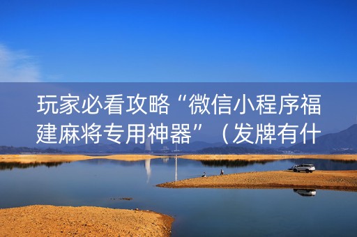玩家必看攻略“微信小程序福建麻将专用神器”（发牌有什么规律吗)