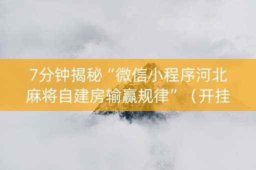 7分钟揭秘“微信小程序河北麻将自建房输赢规律”（开挂辅助脚本)