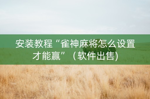 安装教程“雀神麻将怎么设置才能赢”（软件出售)