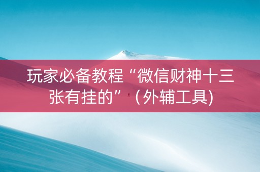 玩家必备教程“微信财神十三张有挂的”（外辅工具)