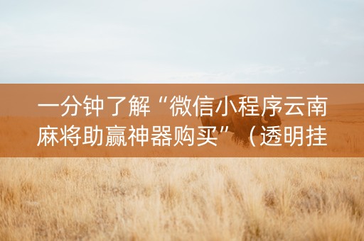 一分钟了解“微信小程序云南麻将助赢神器购买”（透明挂辅助器)