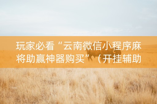 玩家必看“云南微信小程序麻将助赢神器购买”（开挂辅助插件)