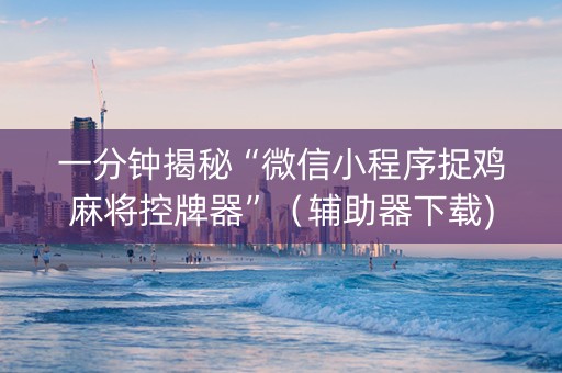 一分钟揭秘“微信小程序捉鸡麻将控牌器”（辅助器下载)