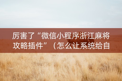 厉害了“微信小程序浙江麻将攻略插件”（怎么让系统给自己好牌)