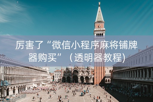 厉害了“微信小程序麻将铺牌器购买”（透明器教程)