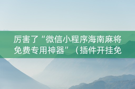 厉害了“微信小程序海南麻将免费专用神器”（插件开挂免费AI)
