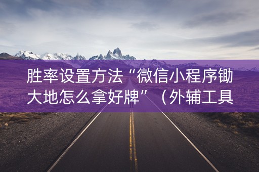 胜率设置方法“微信小程序锄大地怎么拿好牌”（外辅工具)