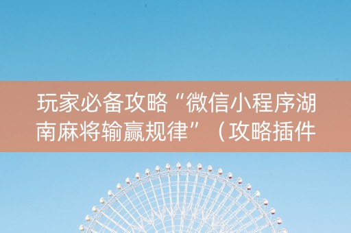 玩家必备攻略“微信小程序湖南麻将输赢规律”（攻略插件)
