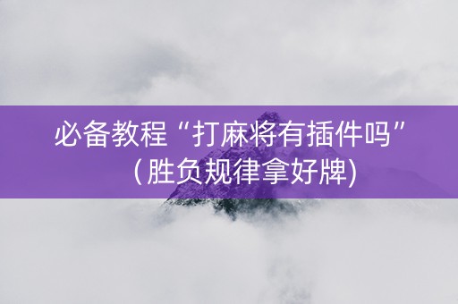 必备教程“打麻将有插件吗”（胜负规律拿好牌)