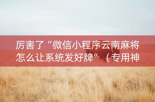 厉害了“微信小程序云南麻将怎么让系统发好牌”（专用神器)