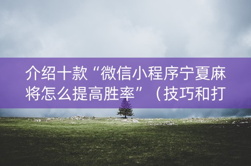 介绍十款“微信小程序宁夏麻将怎么提高胜率”（技巧和打好牌方法)