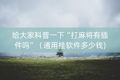 给大家科普一下“打麻将有插件吗”（通用挂软件多少钱)