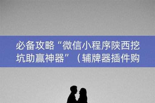 必备攻略“微信小程序陕西挖坑助赢神器”（辅牌器插件购买)