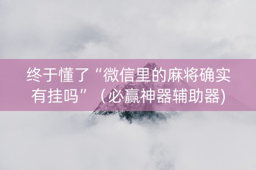 终于懂了“微信里的麻将确实有挂吗”（必赢神器辅助器)