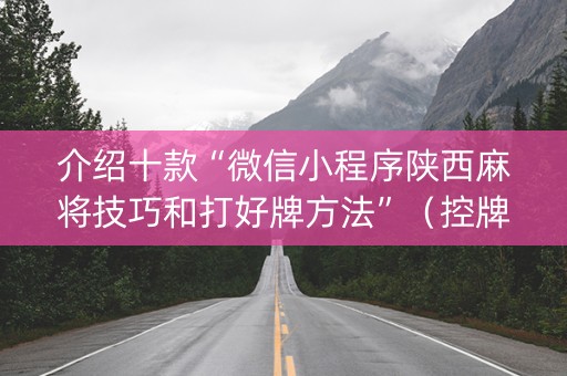 介绍十款“微信小程序陕西麻将技巧和打好牌方法”（控牌神器)