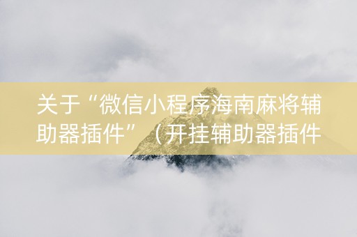 关于“微信小程序海南麻将辅助器插件”（开挂辅助器插件)