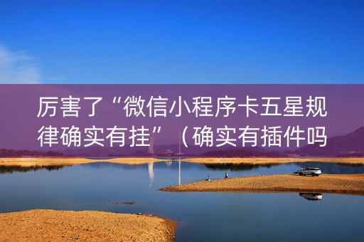 厉害了“微信小程序卡五星规律确实有挂”（确实有插件吗)