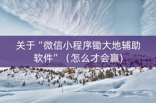 关于“微信小程序锄大地辅助软件”（怎么才会赢)