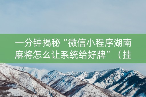 一分钟揭秘“微信小程序湖南麻将怎么让系统给好牌”（挂件神器)