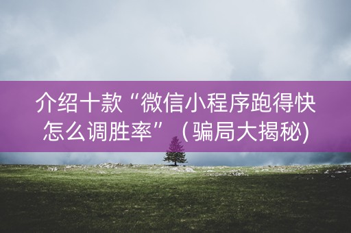 介绍十款“微信小程序跑得快怎么调胜率”（骗局大揭秘)
