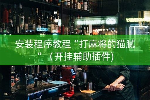 安装程序教程“打麻将的猫腻”（开挂辅助插件)