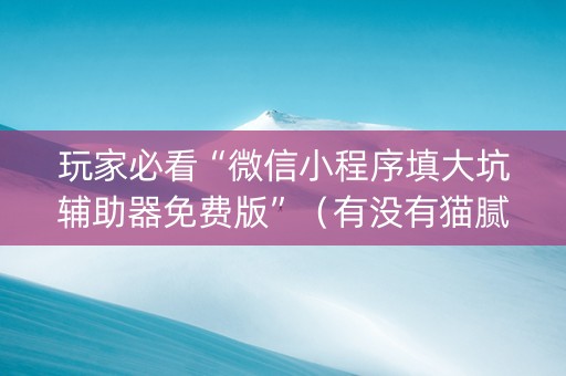 玩家必看“微信小程序填大坑辅助器免费版”（有没有猫腻)