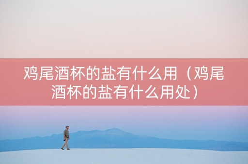 鸡尾酒杯的盐有什么用（鸡尾酒杯的盐有什么用处）