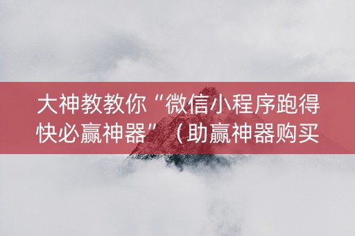 大神教教你“微信小程序跑得快必赢神器”（助赢神器购买)