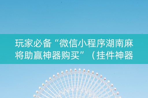 玩家必备“微信小程序湖南麻将助赢神器购买”（挂件神器)