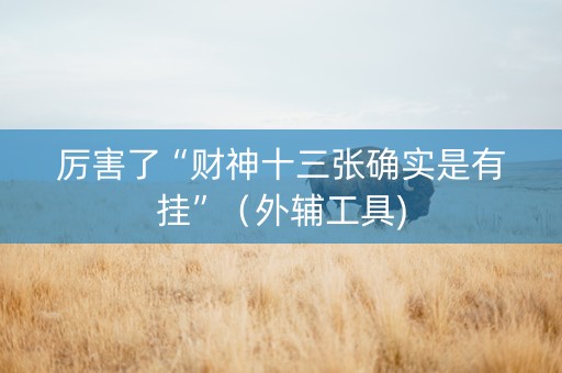厉害了“财神十三张确实是有挂”（外辅工具)