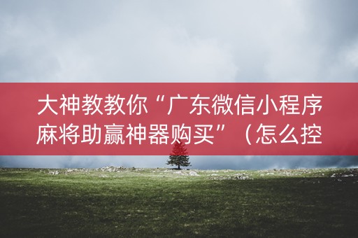 大神教教你“广东微信小程序麻将助赢神器购买”（怎么控制输赢)