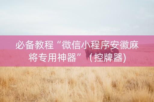 必备教程“微信小程序安徽麻将专用神器”（控牌器)