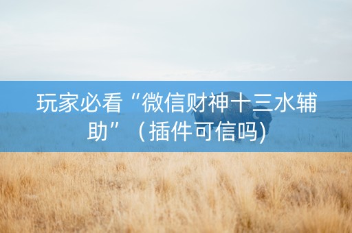 玩家必看“微信财神十三水辅助”（插件可信吗)