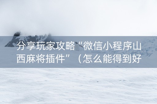 分享玩家攻略“微信小程序山西麻将插件”（怎么能得到好牌)