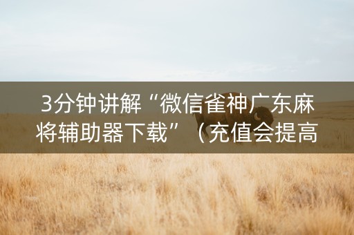 3分钟讲解“微信雀神广东麻将辅助器下载”（充值会提高胜率么)