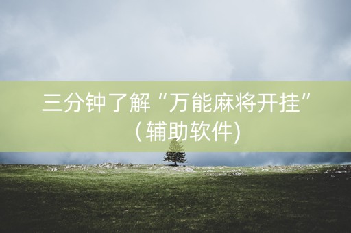 三分钟了解“万能麻将开挂”（辅助软件)