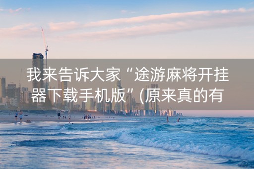 我来告诉大家“途游麻将开挂器下载手机版”(原来真的有挂)-知乎