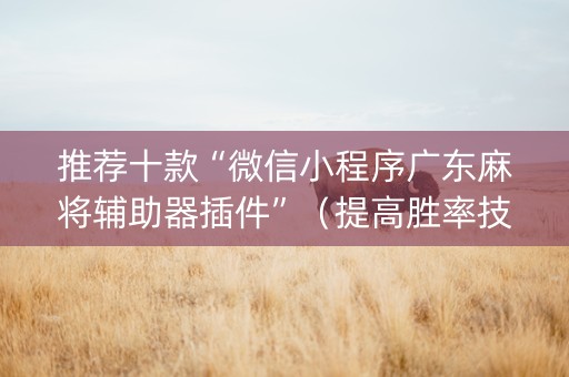 推荐十款“微信小程序广东麻将辅助器插件”（提高胜率技巧)