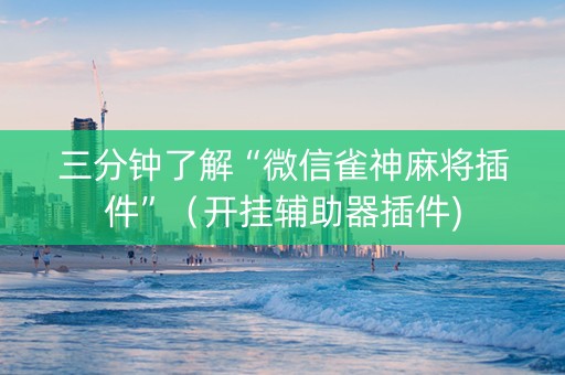 三分钟了解“微信雀神麻将插件”（开挂辅助器插件)