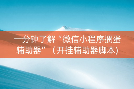一分钟了解“微信小程序掼蛋辅助器”（开挂辅助器脚本)