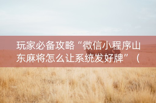 玩家必备攻略“微信小程序山东麻将怎么让系统发好牌”（攻略插件)