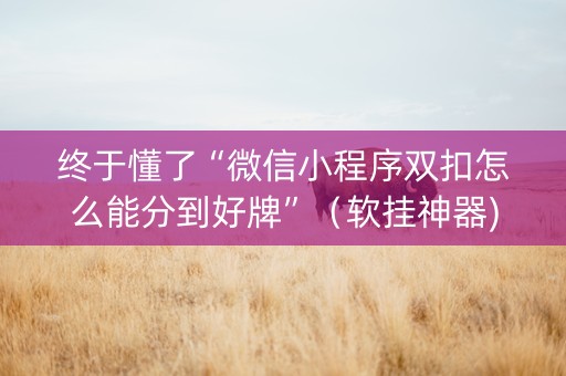终于懂了“微信小程序双扣怎么能分到好牌”（软挂神器)